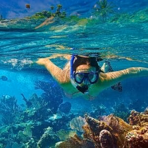 snorkel with turtles