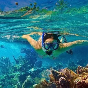 snorkel with turtles