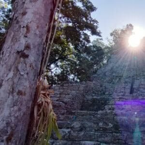 Sun shining over Mayan ruins surrounded by lush trees in Riviera Maya, Mexico.