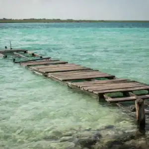bacalar