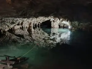 Environnement jungle autour du cénote TaakBi Luum près de Tulum